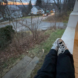 Meet your Posher, Molly